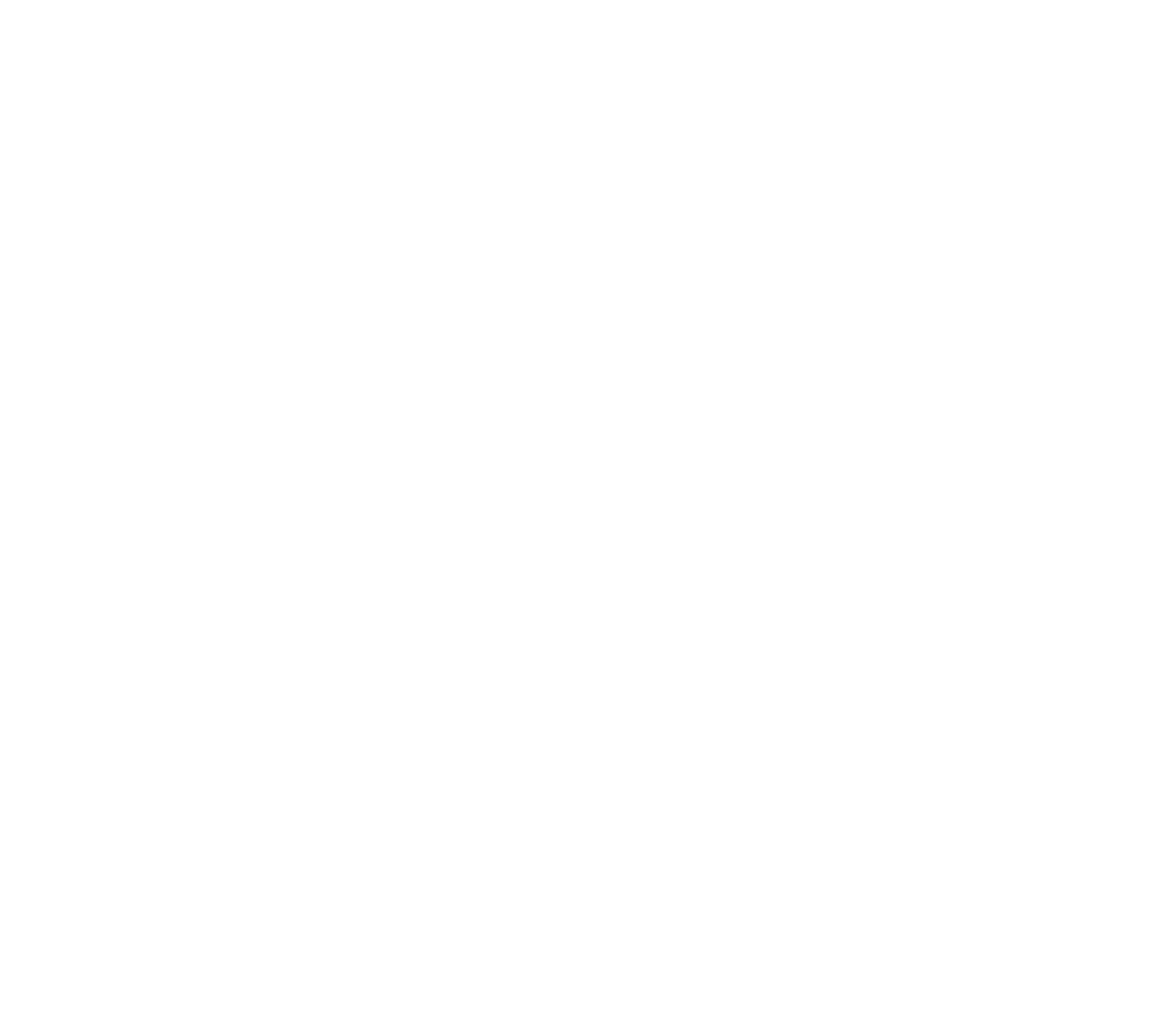 Logo Icon